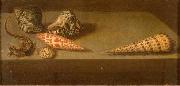 AST, Balthasar van der Lezards et coquillages oil on canvas